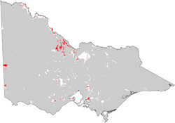 thumbnail map of distribution of vertosols in horticulture