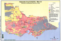 map showing suitablity for brocoli and coliflower summer