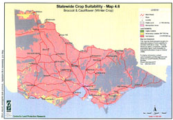 map showing suitablity for brocoli and coliflower summer