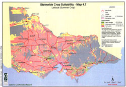 map showing suitablity for lettus growing