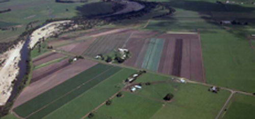 image of horticulture in avon river
