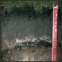 Icon: Showing wet soil in a soil profile