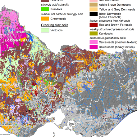 distribution of victorian grain soils icon