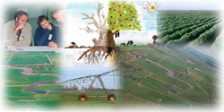 Irrigated Agriculture Montage