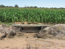 State of the art irrigation - High flowPadman bay outlet