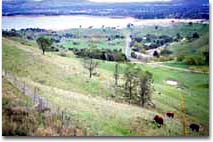 Photo: Lake Hume
