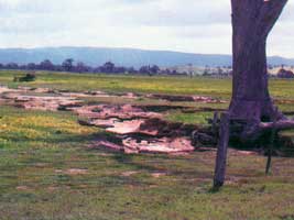 Examples of soil degradation - Soil Salinity