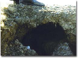 The subsoil has been eroded leaving a tunnel into which humans, stock and agricultural equipment may fall near Costerfield.  Photograph: Stuart Boucher.
