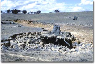 The dispersive clay subsoil has been eroded, undermining the surface soil and leaving the roots of a tree stump exposed near Costerfield.