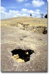 The subsoil has been eroded leaving a tunnel into which humans, stock and agricultural equipment may fall near Costerfield.