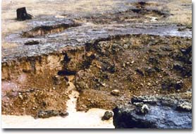 Turbid tunnelflow draining into the subcatchment gully following a storm in November, 1983: near Costerfield. Photograph: Stuart Boucher.