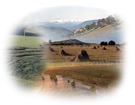 Photo: Statewide Landform Montage