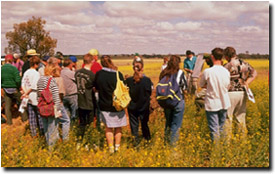 Photo: Soil pit field day for landholders in the former shire of Lowan