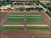 Aerial photograph of the LR1 experimental site at Longerenong