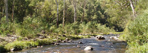 Fact Sheet 2 - How do landscapes affect our water resources?