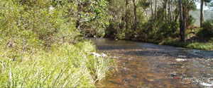 Northern Victorian Focus Catchments - Fact Sheet 1