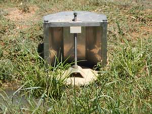 Figure 6: A pipe and riser system pump and bay outlet