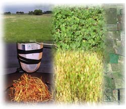 Image:  Mapping Soil Salinity