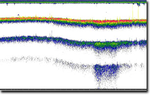 Image:  Echogram