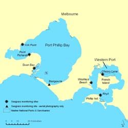 Photo:  Port Phillip & Westernport Study Sites
