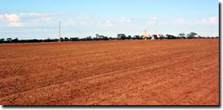 Photo: Landscape of Soil Pit site mp26