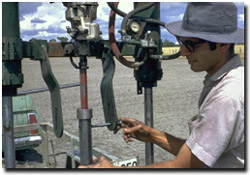 Photo: Nabil Badawy during field sampling near Horsham