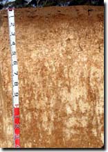 Photo: </font>
Site ORZC7 profile