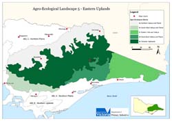 Eastern Uplands