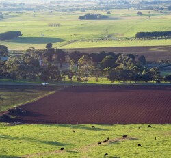 Southern Plains - cropping