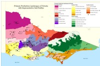 Primary Production Soils