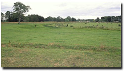 Photo: Prior stream channel south of Tinamba in West Gippsland.