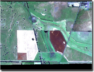 Image:  Hyperspectral map