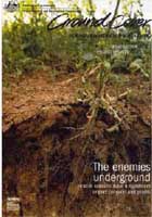 Groundcover magazine
