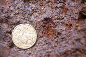 Image:  SFS 3 buck shot