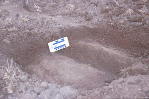 Image:  SFS 3 plough pan