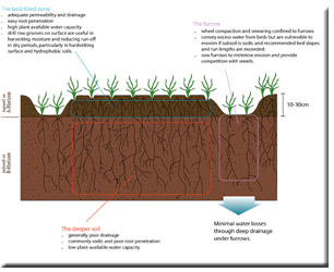 Image:  Figure 1