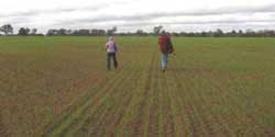 Soil Health Management Plan - concept - figure 4