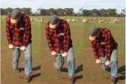 Soil Health Management Plan - concept - figure 5