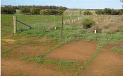 Soil Health Management Plan - pilot - figure 19