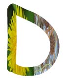 Salt Tolerant Plants - D