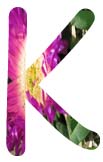 Salt Tolerant Plants - K