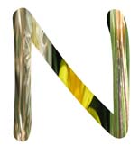 Salt Tolerant Plants - N