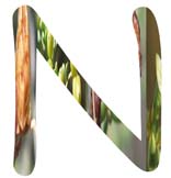 Salt Tolerant Plants -N