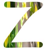 Salt Tolerant Plants -Z