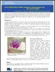 Quick Reference Guide: Potassium Permanganate Test for Active Carbon