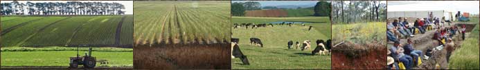 Montage of photos containg different types and uses of soil