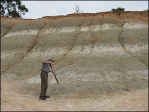 Hands holding soil