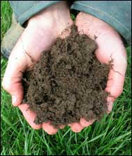 Hands holding soil