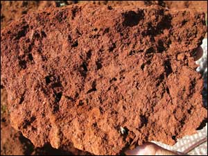 Red soil