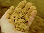 Loamy Sand